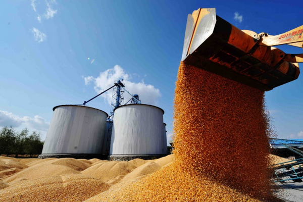 智慧糧庫的定義是什么？智慧糧庫建設讓糧食“住的安全”